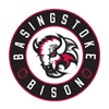 Basingstoke Bison